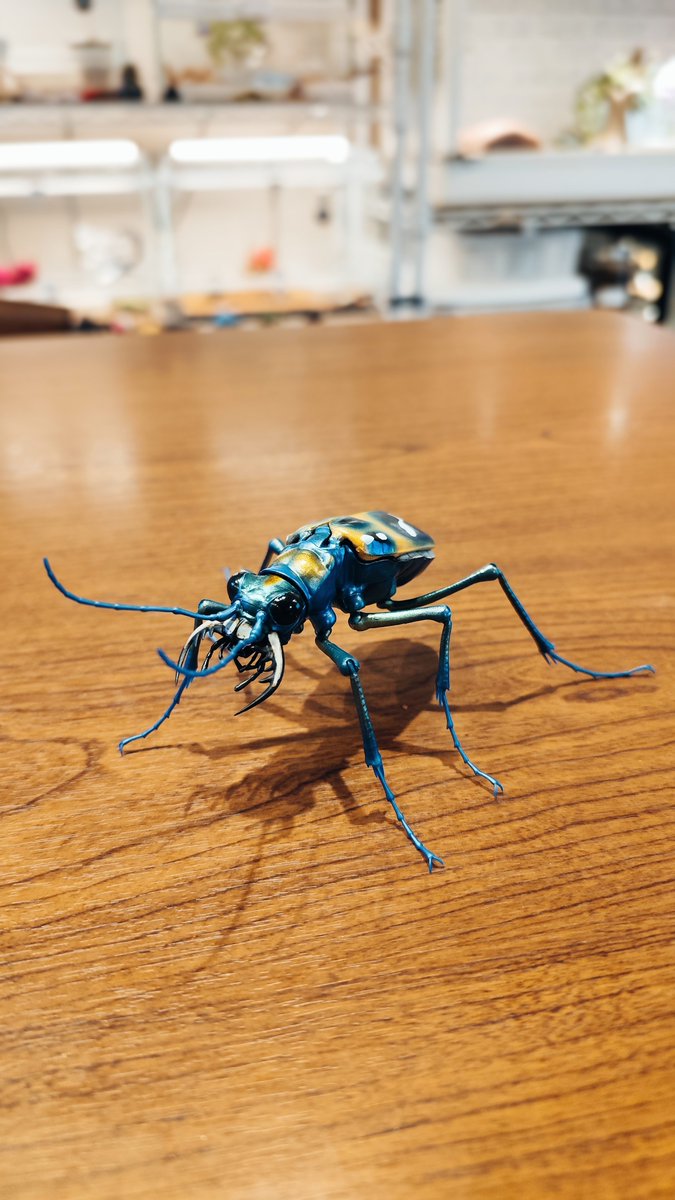 1500円ガチャの破壊力！！
クオリティが凄い！！

#ハンミョウ