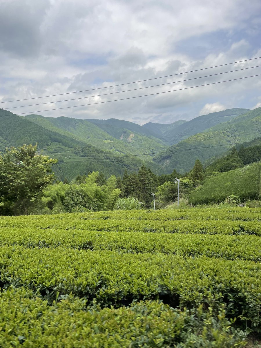 地質学会中部支部巡見