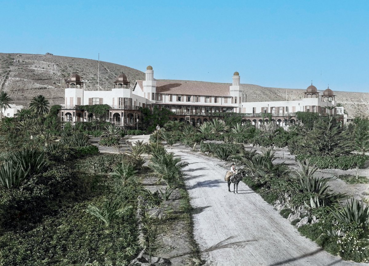 Canarias en Color tweet media