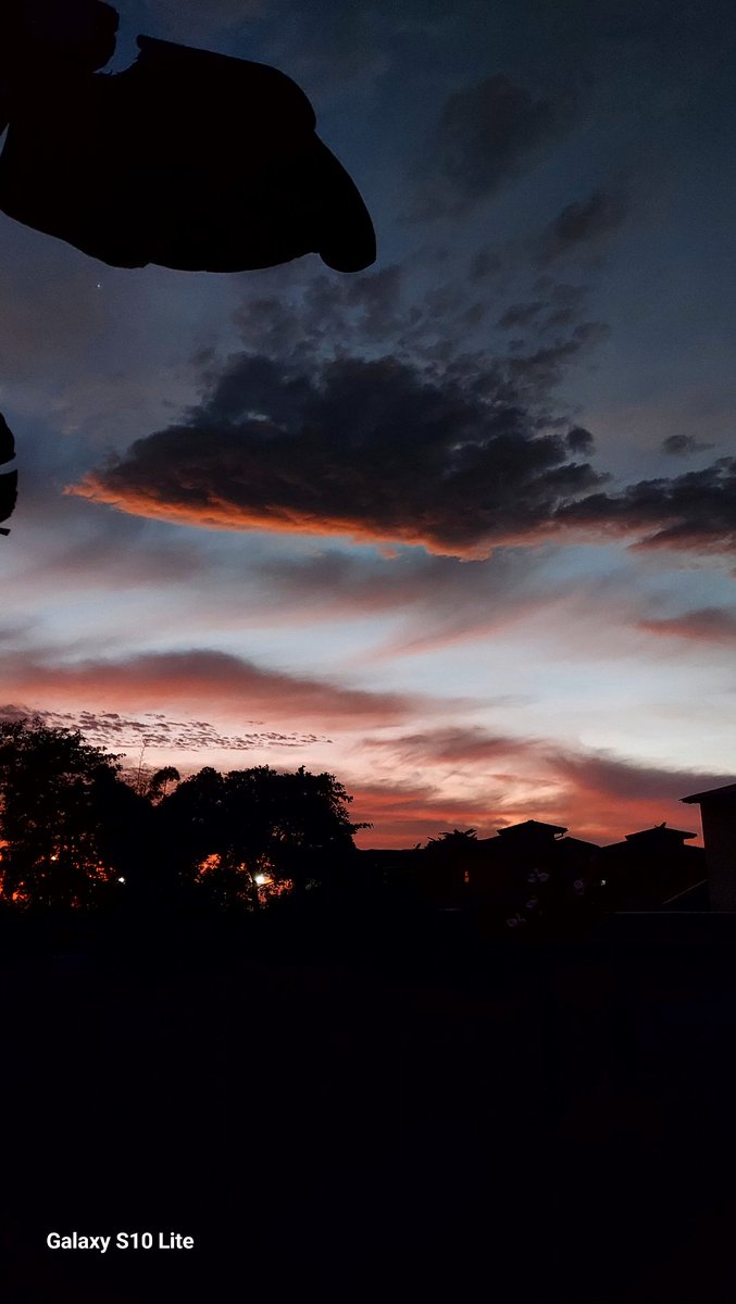 SolangeRebechi's tweet image. 