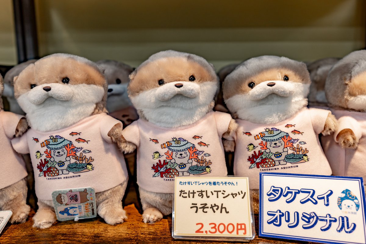 curve_ni's tweet image. うそやん。めっちゃ可愛いやん。
#竹島水族館