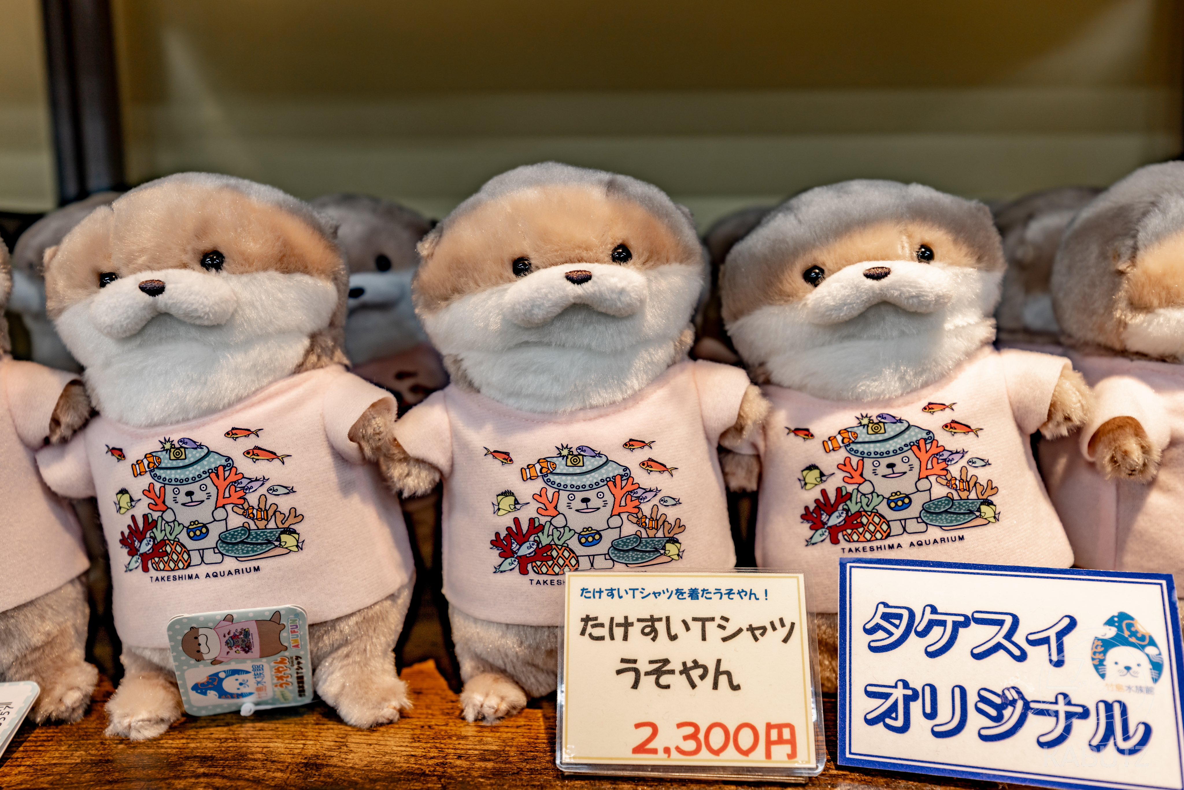 NANO universe シャツ TCタイプライターシャツ 半袖 メンズ