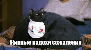 Друзья, сделал сковороду жареной картошки, миску салата из огурцов и помидоров – и сточил все это в одного. Мне одновременно очень хорошо и очень плохо