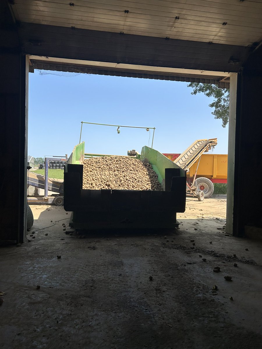 arnoldveld078's tweet photo. Tussen het beregenen door begonnen met afleveren van de oude oogst. Druk weekje zo😃 https://t.co/S3LgQePmjm