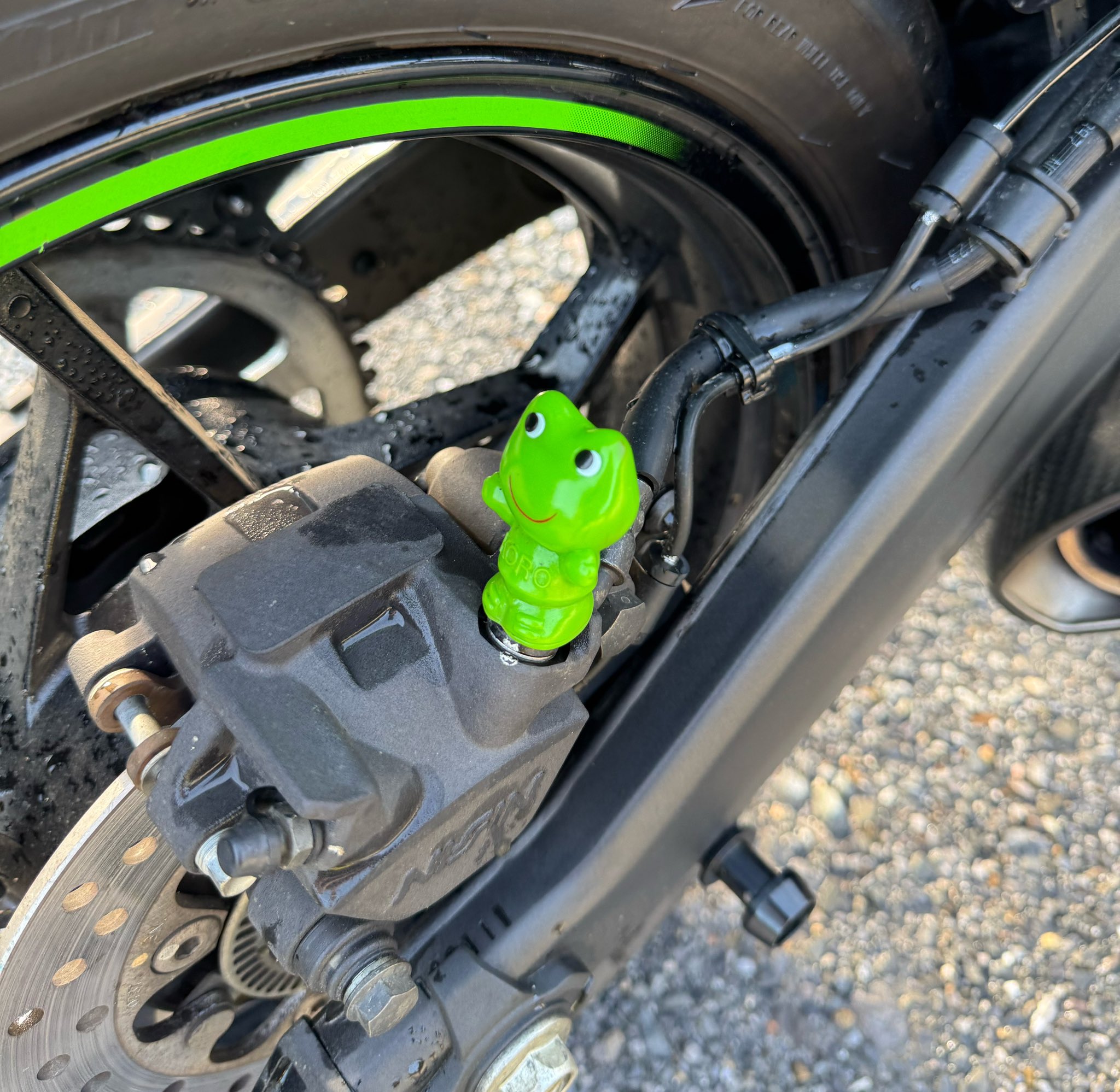 ちび太 (@chibita13kps) / X