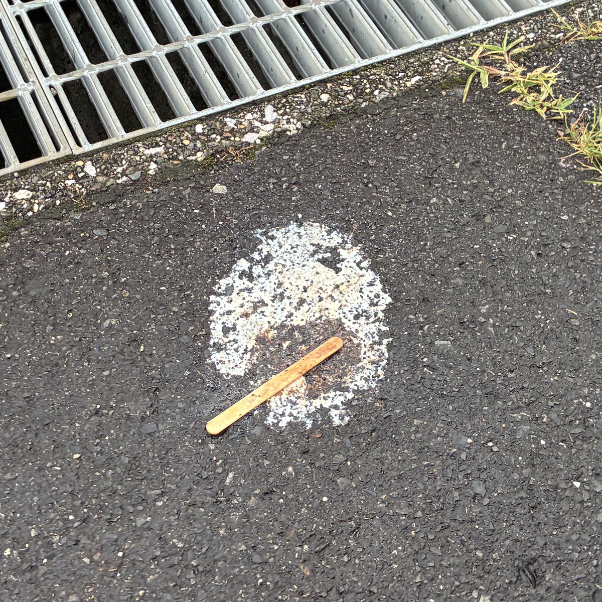 アイスの化石見つけた