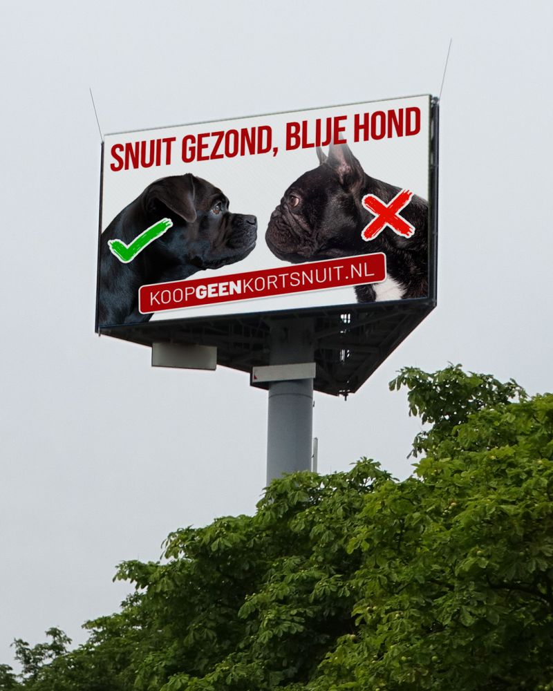 <a href="/DierenLot/">Stichting DierenLot</a> voert samen met o.a. <a href="/DierenRecht/">Dier&Recht</a> <a href="/Hondbescherming/">Koninklijke Hondenbescherming 🐕</a> <a href="/sophiasociety/">Sophia-Vereeniging</a> campagne, voor gezonde rashonden: "Snuit gezond, blije hond". We staan op diverse plaatsen in het land langs de snelweg. Informatie koopgeenkortsnuit.nl #dierenambulance #kortsnuit <a href="/raadvanbeheer/">Raad van Beheer</a>