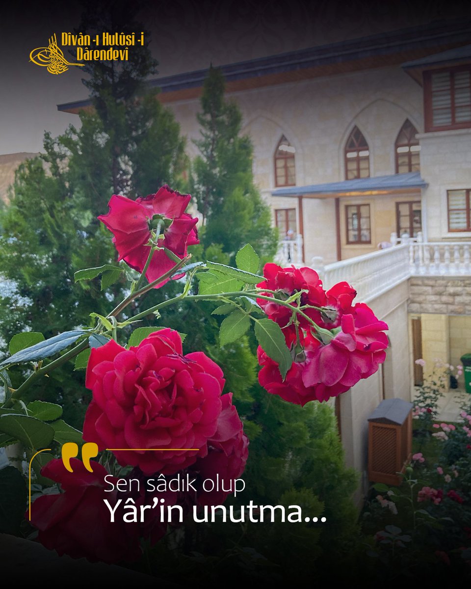 ❝Fâsık desinler fâcir desinler
Sen sâdık olup yârın unutma❞

▪ Es-Seyyid Osman Hulûsi Efendi

👉 Sana fâsık (günahkâr) da deseler, fâcir (ayyaş, rezil) de deseler, sen sadık olmaya bak ve sevgilini unutma.

#HulusiEfendi #DivanıHulusi