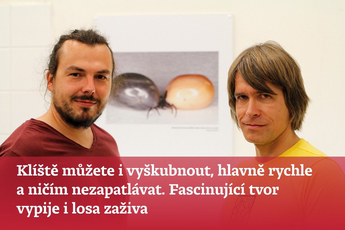denikn.cz/380100/
Aktivita klíšťat je podle ČHMU mimořádná. Připomínáme starší rozhovor o životě klíšťat. „Zatím je spolehnutí jen na červený flek. Alfa a omega je prohlídka těla po návratu z lesa a klíště hned ven. Jakkoliv. Hlavně hned,“ radí parazitologové Radek Šíma a