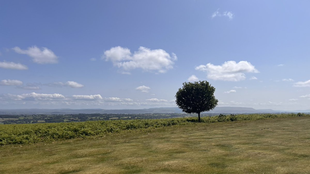 John Winter (@redacreuk) on Twitter photo Recommend by <a href="/gordyross/">Gordon Ross</a> Kington is an absolute delight. At 1284 feet high, a welcome summer breeze, stunning views & strategic design comes as standard. Only 3 green staff & a few hundred sheep as helpers, the rumpled fairways and green sites were fun and faultless. Go visit. Recommend by <a href="/gordyross/">Gordon Ross</a> Kington is an absolute delight. At 1284 feet high, a welcome summer breeze, stunning views & strategic design comes as standard. Only 3 green staff & a few hundred sheep as helpers, the rumpled fairways and green sites were fun and faultless. Go visit.