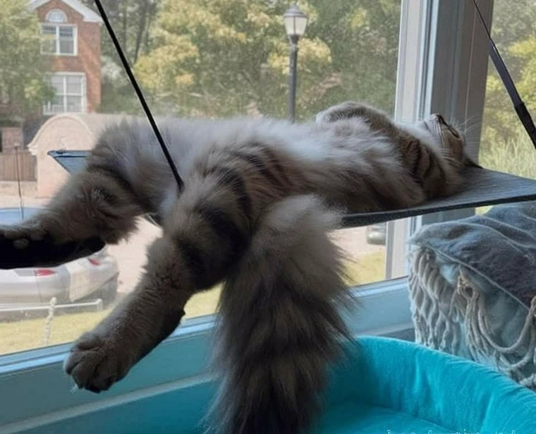 Bon samedi!!☮️🥰🔆