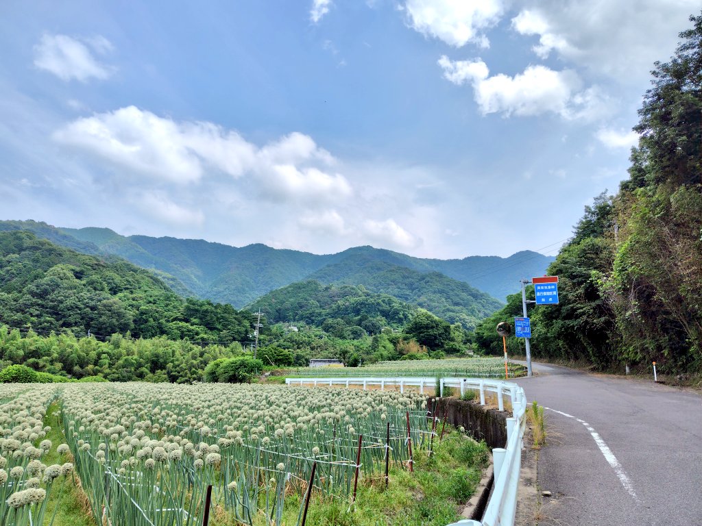 fishine0528's tweet photo. 昨日はCBに乗ったので今日はモンキー！近くの山越え。前回分何も考えずに行ってみたら思った以上に山道だったので時間があるときに再チャレンジ。
#モンキー125
#ホンダ https://t.co/eopeJCnbkY