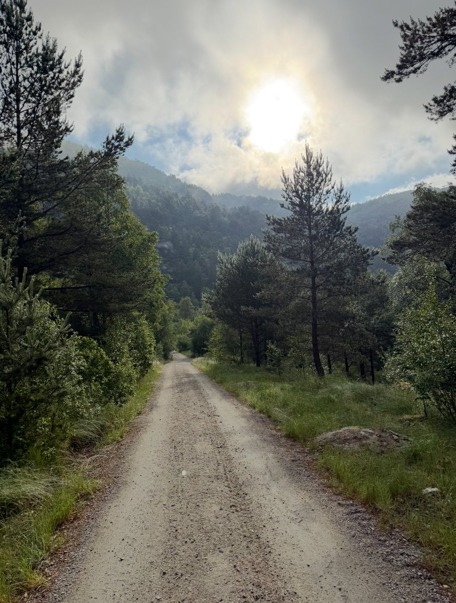 Robin | Branded YouTube tweet media