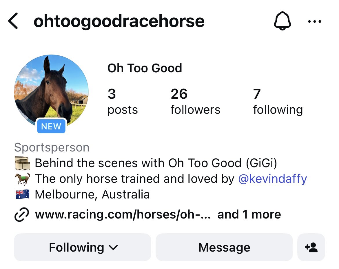 GingerWizRacing's tweet photo. My kind of Instagram page 🐐 #halloffame https://t.co/0owSou2Uqz