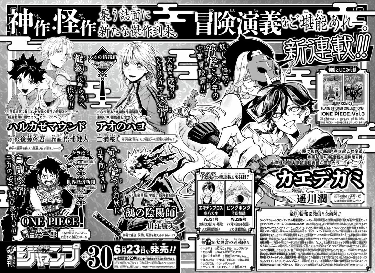 セミアコ　抜け殻　ジャンク