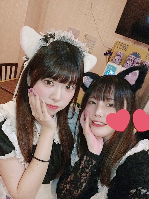 にゃんこメイドカフェ にゃんさんぶるのツイート
