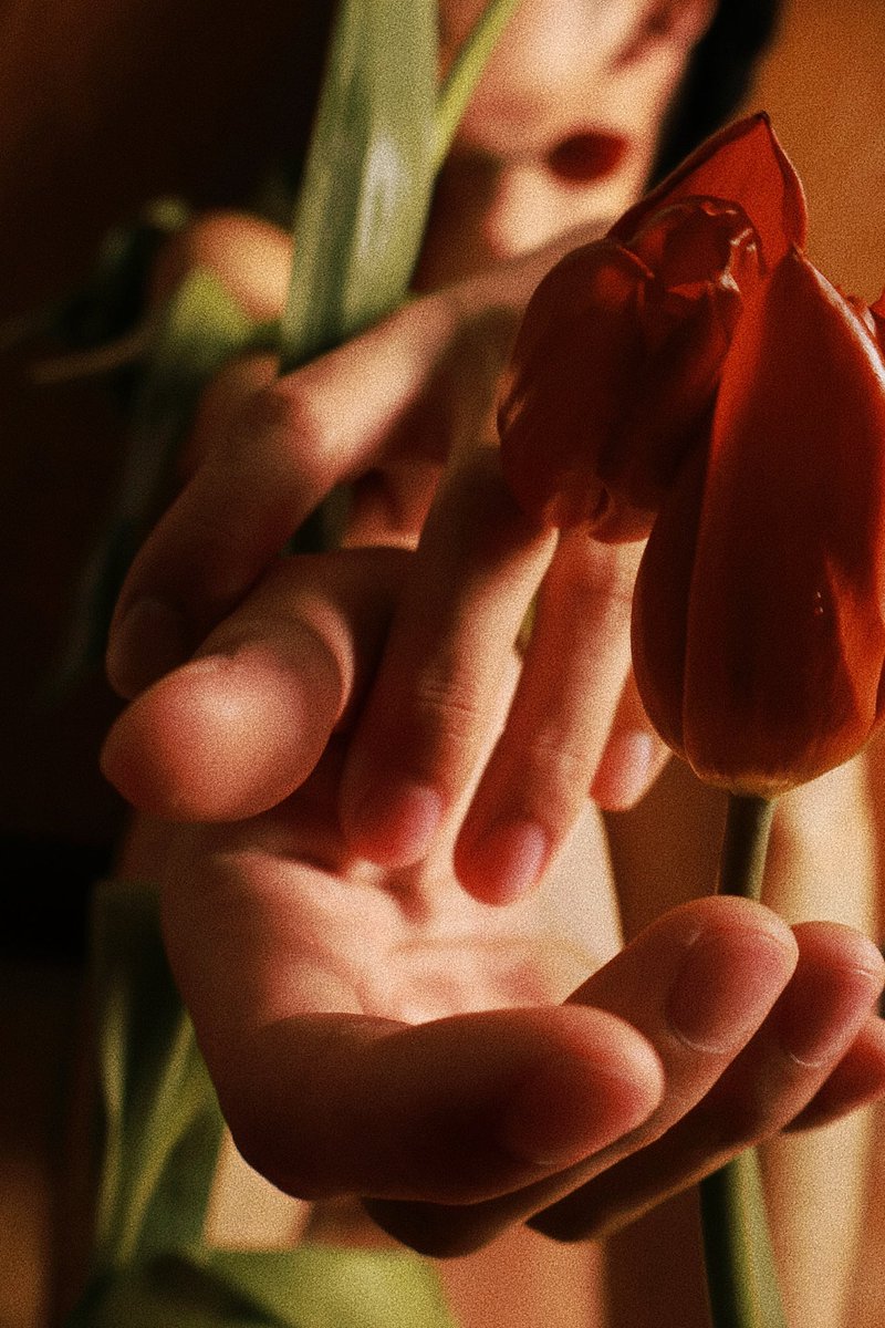 🌷🌷🌷
📸 <a href="/diewnuttop93930/">nd21_dd 📷</a>