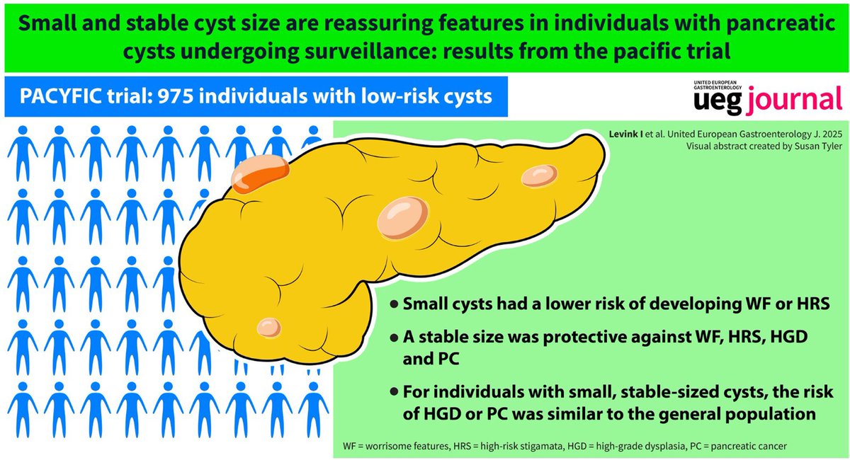 🫧 Cysts that are both small and stable convey a minimal risk of pancreas cancer!

🍇 2.3k patients from the Pacyfic trial 

🤏 Size &lt; 15 mm and growth &lt; 2.5 mm/ year no higher risk of PDAC than general population 

onlinelibrary.wiley.com/doi/10.1002/ue… in <a href="/my_ueg/">my_UEG</a> <a href="/UEGJournal/">UEGJ</a>