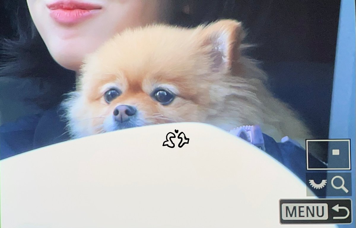 PEPPER0810's tweet image. 250622 #파이😍
오늘파이출퇴근길