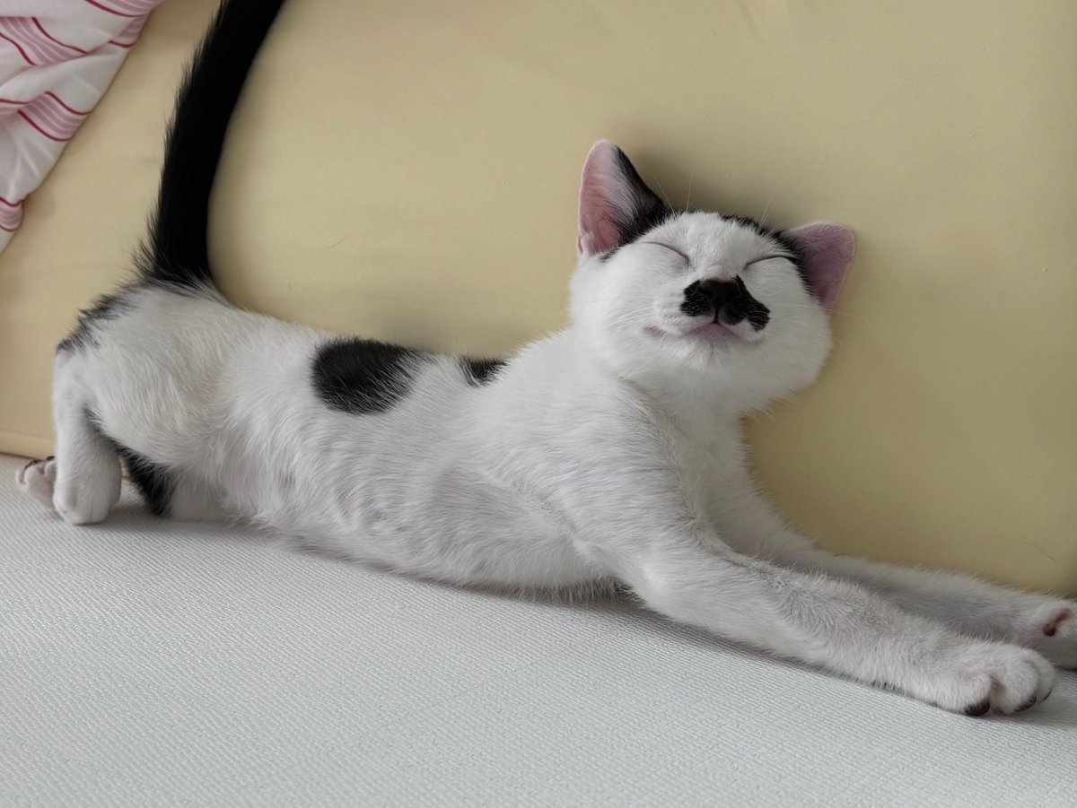 자는 얼굴 좀 봐  ◠‿◠