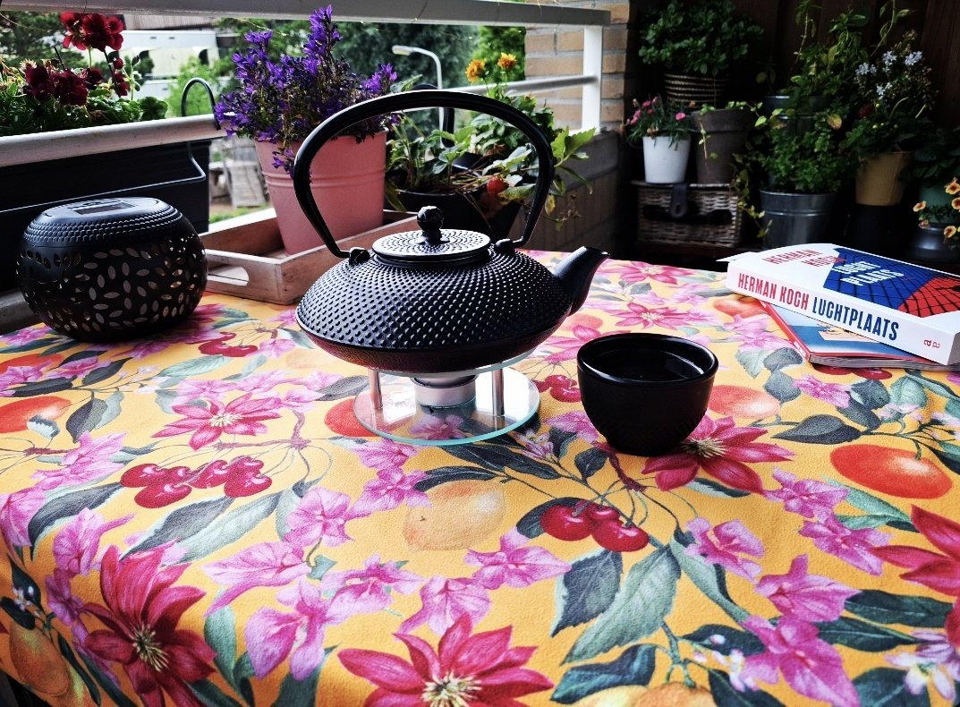 Theetje. Hysterisch tafelkleedje. Leesvoer. En dan nu graag een zomerse plensbui, dan ben ik helemaal happy.  🌦