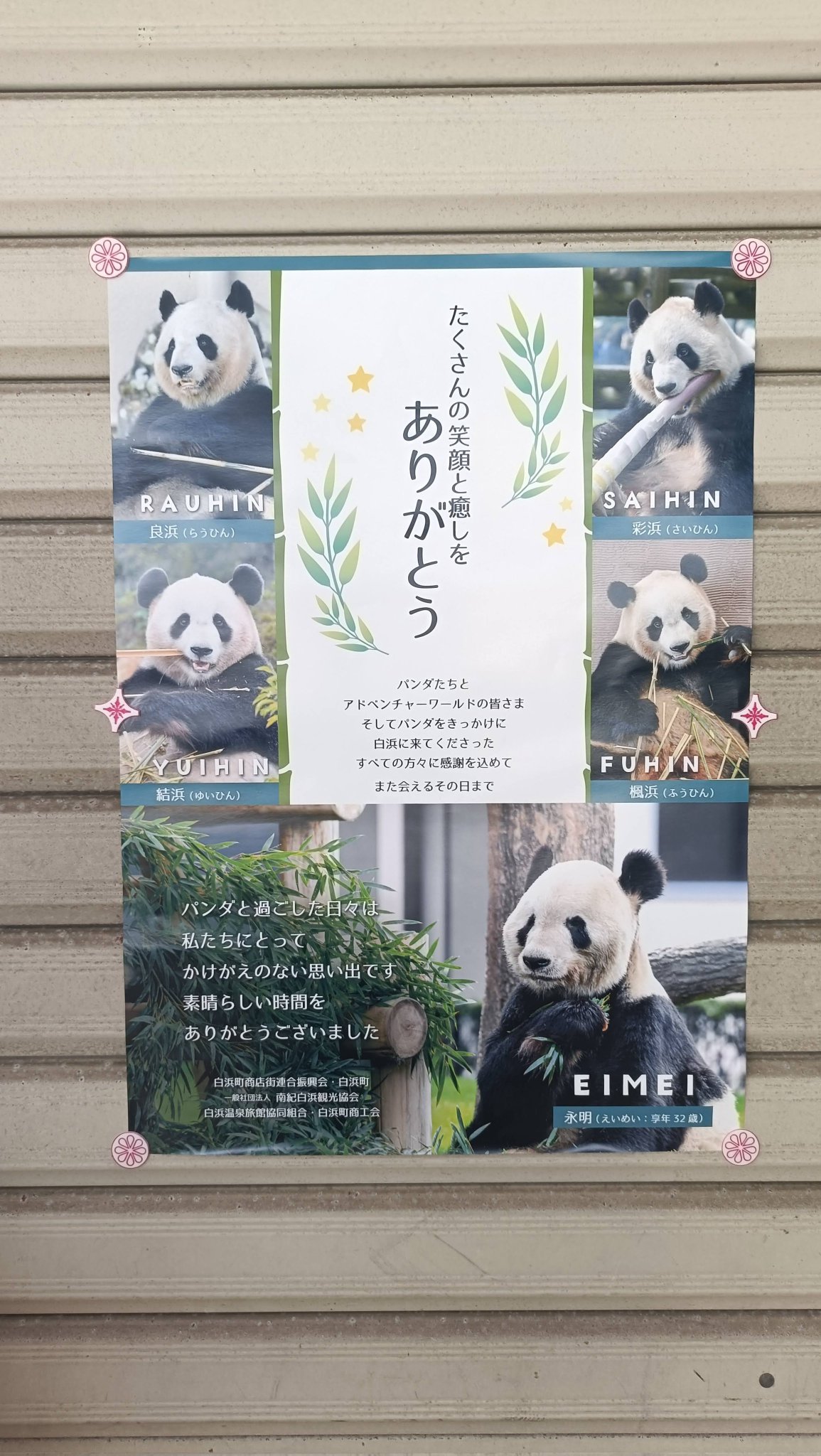 GuCkyOKW0AA_v43.jpg:large