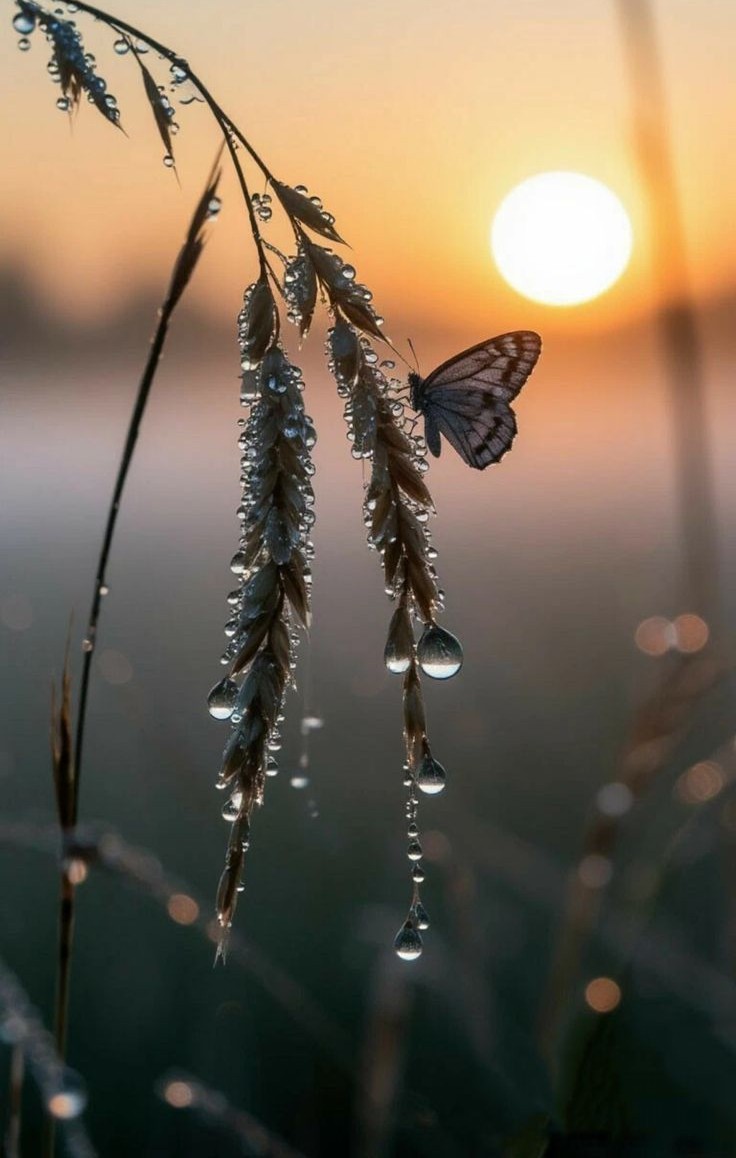 Morning First Light....