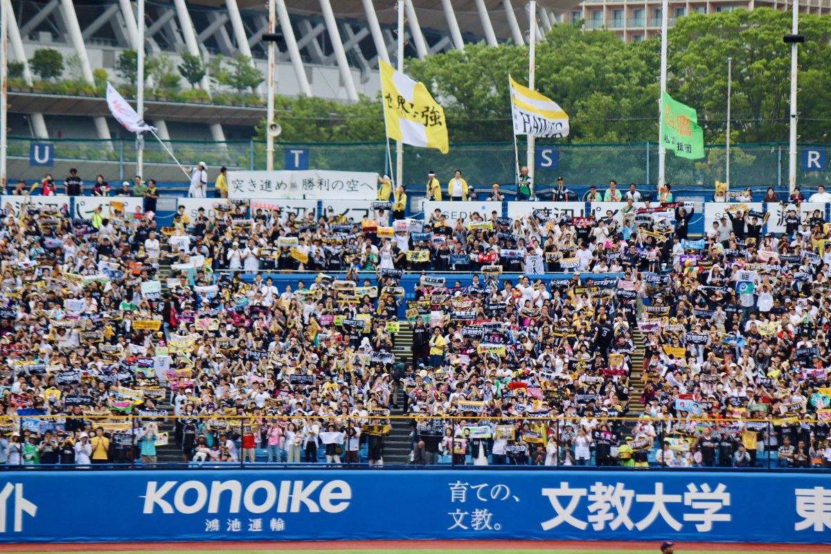 jingu_stadiumpr's tweet photo. 🏟️Thank you fans🏟️
交流戦で神宮球場に足を運んでくださったホークスファン、イーグルスファン、バファローズファンの皆さま、たくさんのご来場をありがとうございました！！

またお会いできる日を楽しみにしています！😊

#sbhawks #RakutenEagles #Bs2025 https://t.co/ioAYHU9EDA