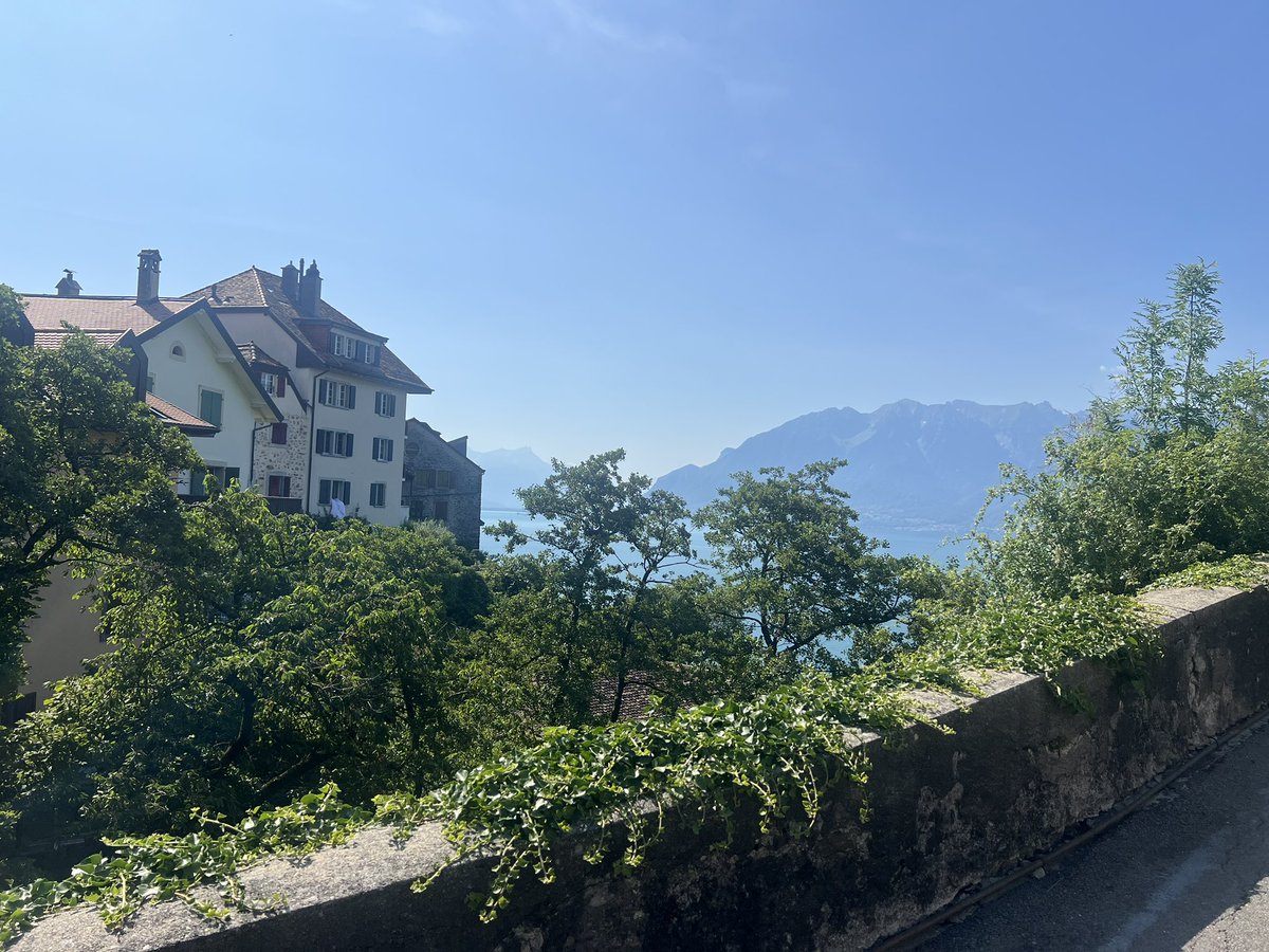 Tom Lamb (@tomlamb77) on Twitter photo 