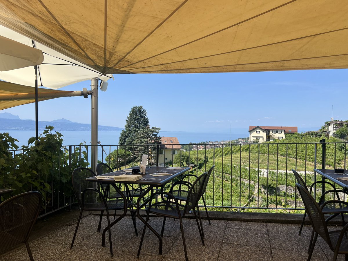 Tom Lamb (@tomlamb77) on Twitter photo 