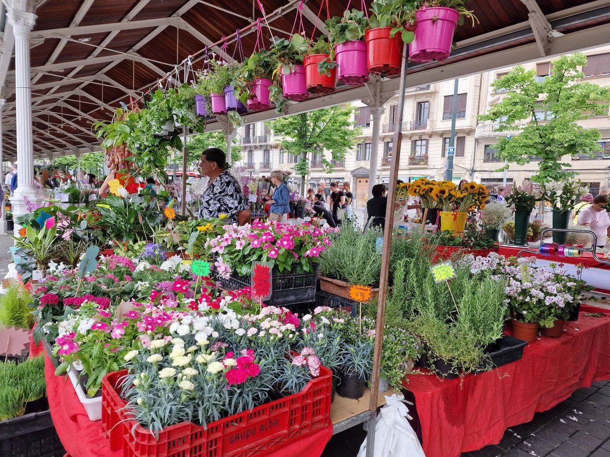 iparatx's tweet photo. Invertir en valor 

Hoy caemos con proverbial chovinismo en nuestro querido #Botxo

Siempre es una gozada pasear por los márgenes de la Ría, visitar el #MercadoDeLasFlores, charlar con los numismáticos y terminar en las #SieteCalles del Casco Viejo

#Freyja #BorderCollie #Bilbao https://t.co/i9yJKdUQHD