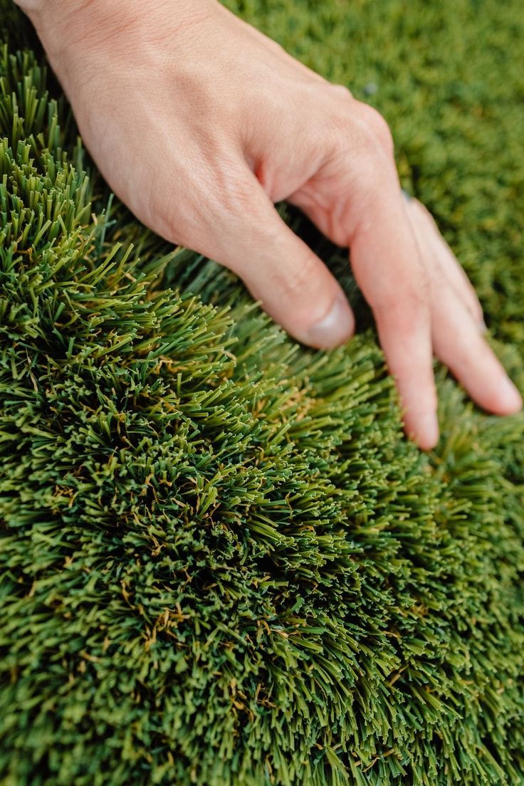 KalieGrow's tweet photo. #openseatouchgrass https://t.co/NmmaNha8b4