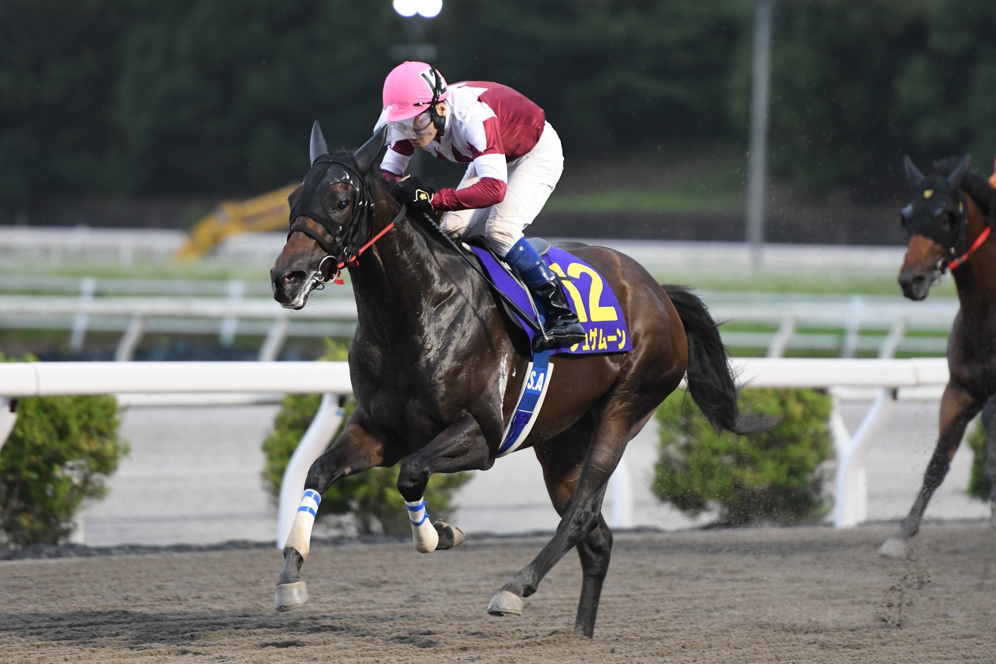 競走馬成績書22冊セット　地方競馬全国協会 河北印刷.Yahoo!店 - 2025年版 地方競馬手帳｜Yahoo!ショッピング