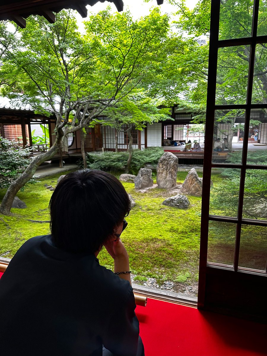 侘び寂び感じてるぽよさんで口直ししてもろて