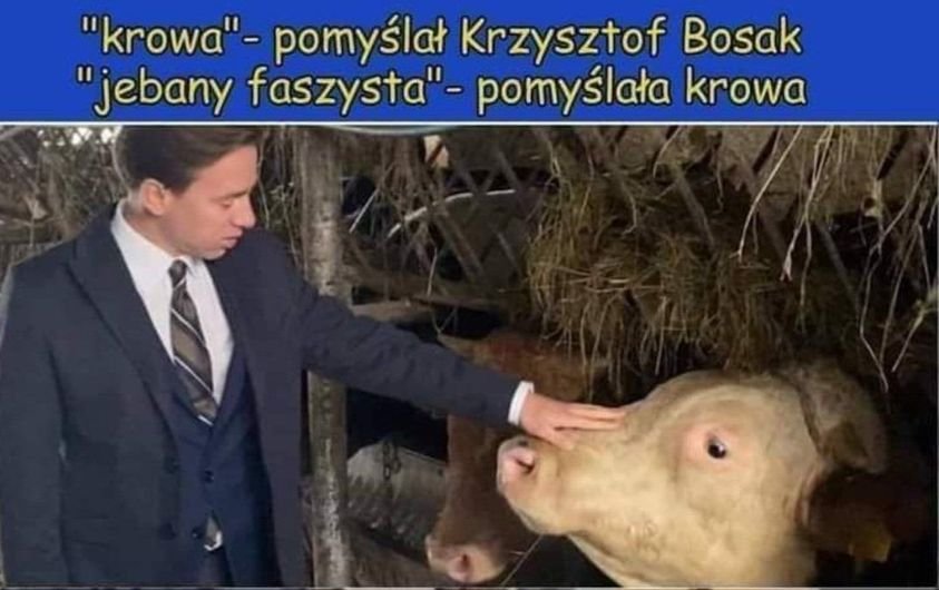 Mateusz Trzeciak ✊🇵🇸🍉 tweet media