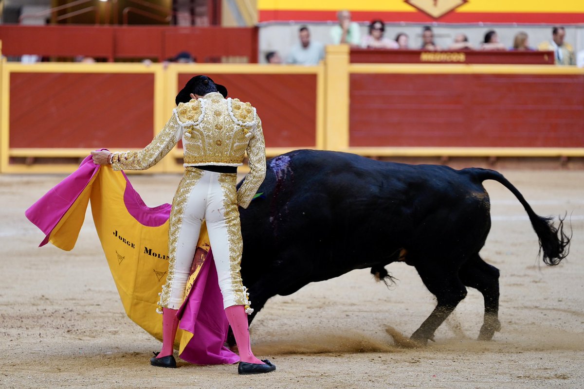 Gestión Espectáculos Toledo (@gespectatoledo) on Twitter photo Pues toreando así debería ser suficiente.... <a href="/jorgemolinaa/">Jorge Molina</a> en Moralzarzal, semifinal de <a href="/CopaChenel/">CopaChenel</a> Pues toreando así debería ser suficiente.... <a href="/jorgemolinaa/">Jorge Molina</a> en Moralzarzal, semifinal de <a href="/CopaChenel/">CopaChenel</a>