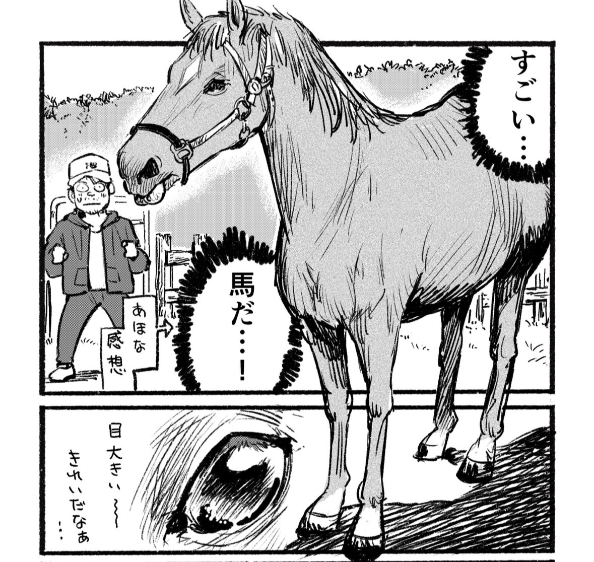 馬と触れ合って「相手の気持ちを知る」難しさについて考えた 0/2 