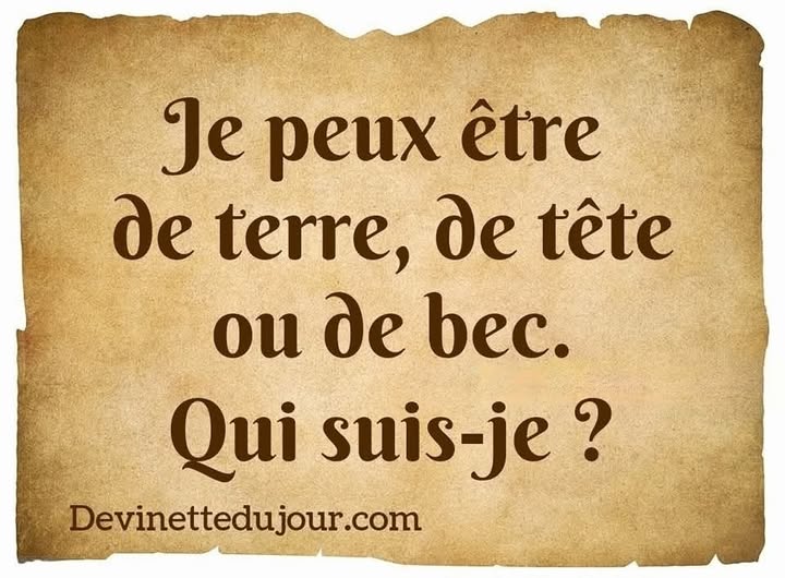 PlanPlan-Bilou tweet media