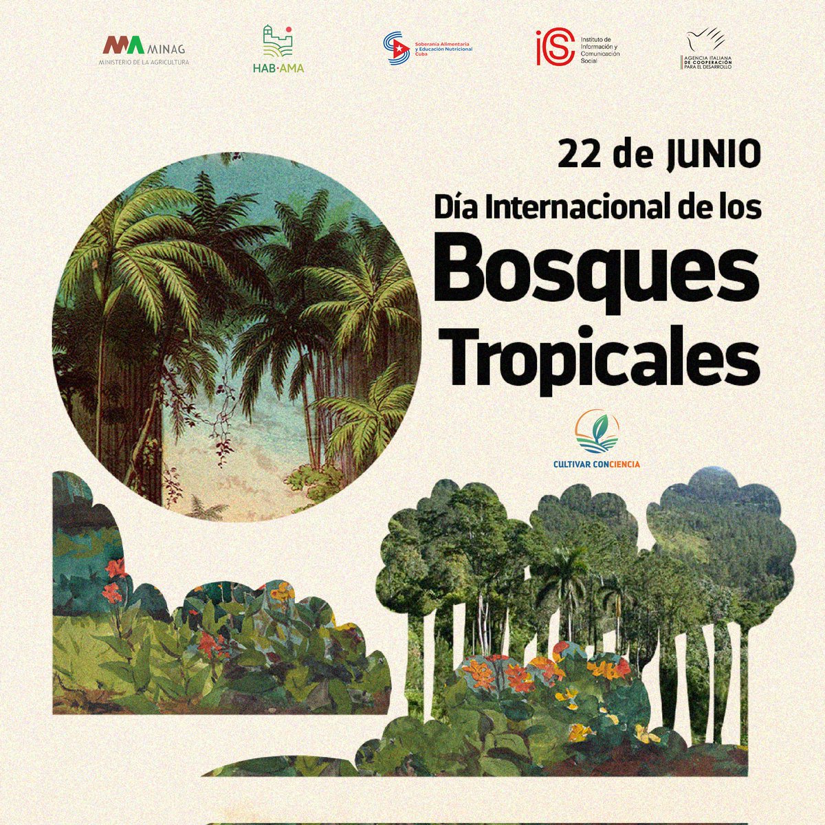 Los bosques tropicales son esenciales para el planeta y la vida cotidiana de las personas. Constituyen el hábitat de más del 80% de especies animales y vegetales. Contribuyen al equilibrio del oxígeno y son vitales para regular el ciclo del agua y enfrentar el cambio climático.
