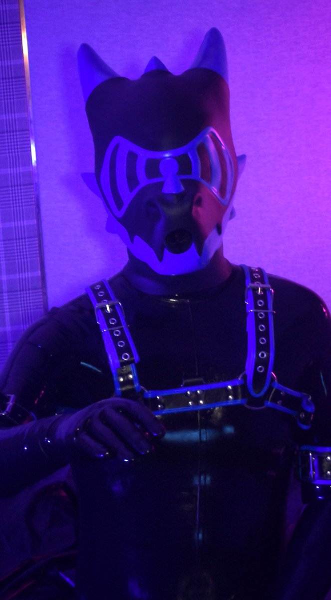 呆头呆脑的小龙