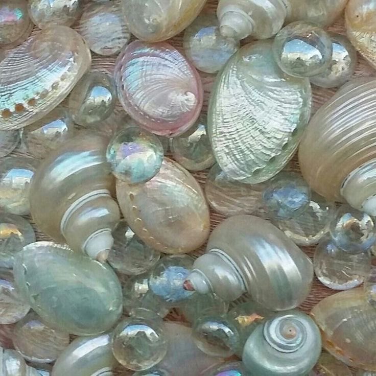 moonsoultarot's tweet photo. HAPPY CANCER SEASON MY FELLOW CANCERS 🦀🫧✨🌊🐚💫🪽🪞🕯️🩵 https://t.co/ApWGzQ2xW3