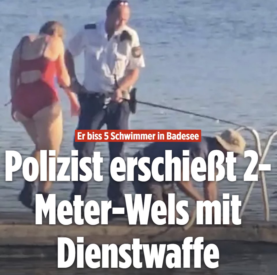 Kranzschwinger's tweet photo. Hätte man ihn nicht nur in die Flosse schießen können? https://t.co/geXUljEqhX