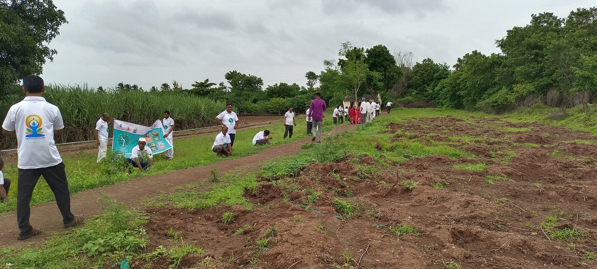 kaniph's tweet image. Maharshi Patanjali Yoga &amp;amp; Research Foundation, Kolhapur 
#IDY2025 #Yoga #MDNIY #YogaDay2025 #HaritYoga #Yogapractice