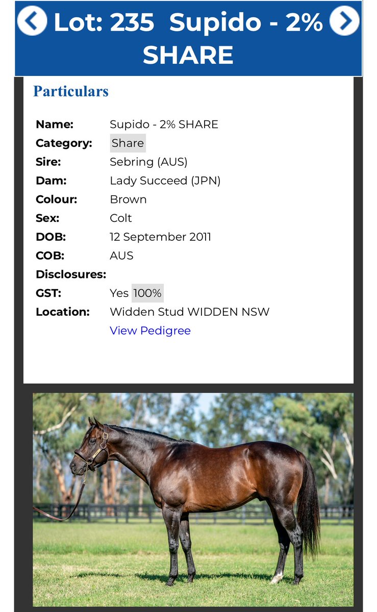 ピーちゃんの父スピードーのシンジゲート株が売りに出てる‼️
ピーちゃんがG1を勝つ前提で（もちろん❗️）、将来的に価値が上がるはずだから…今のうちに買っておこうかな🧐🔥
#オーストラリア競馬 #オーストラリアで馬主に