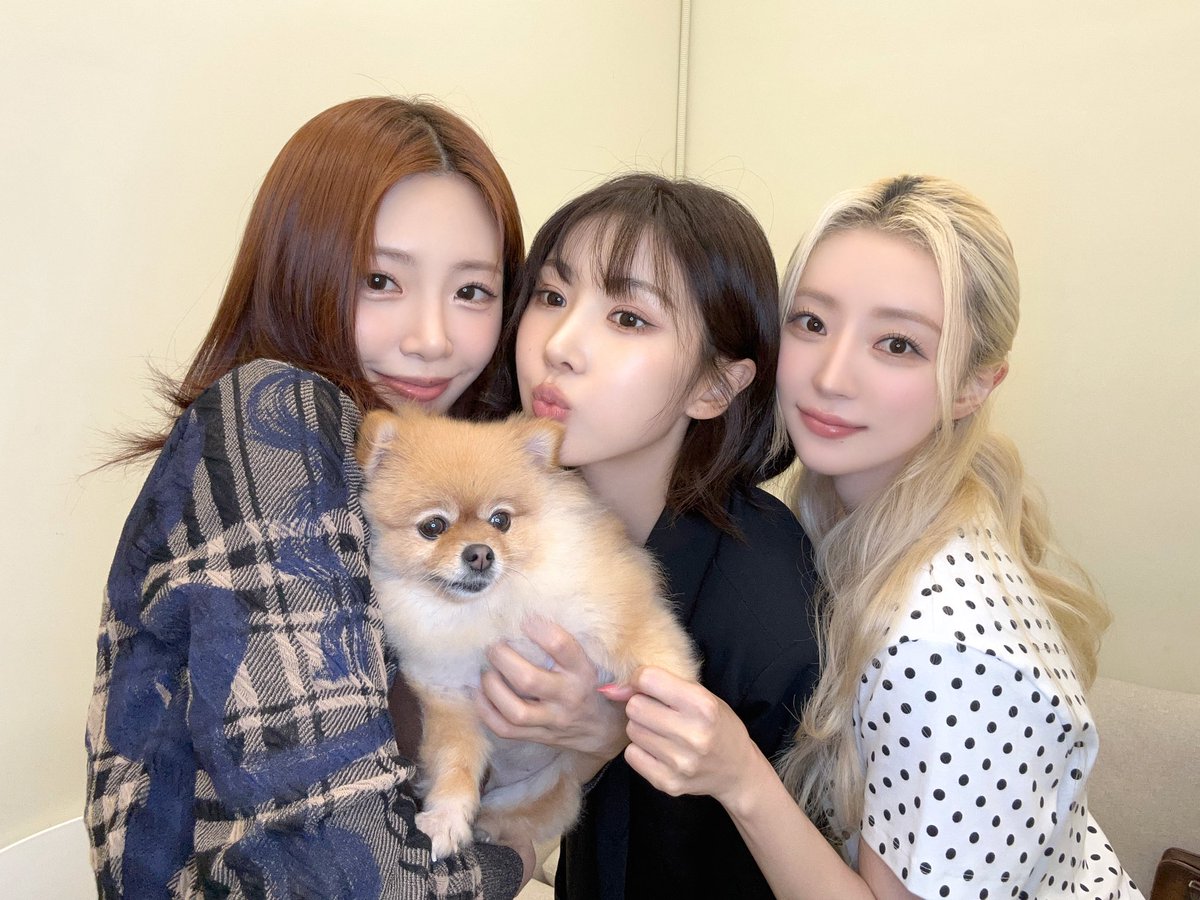 [✏] 25.06.22 후즈팬 팬사인회❣

인썸니아 덕분에 행복으로 가득 채워진 주말 끝💖
새로운 한 주도 파이팅하기💪

#유아유 #UAU
#Dreamcatcher_UAU