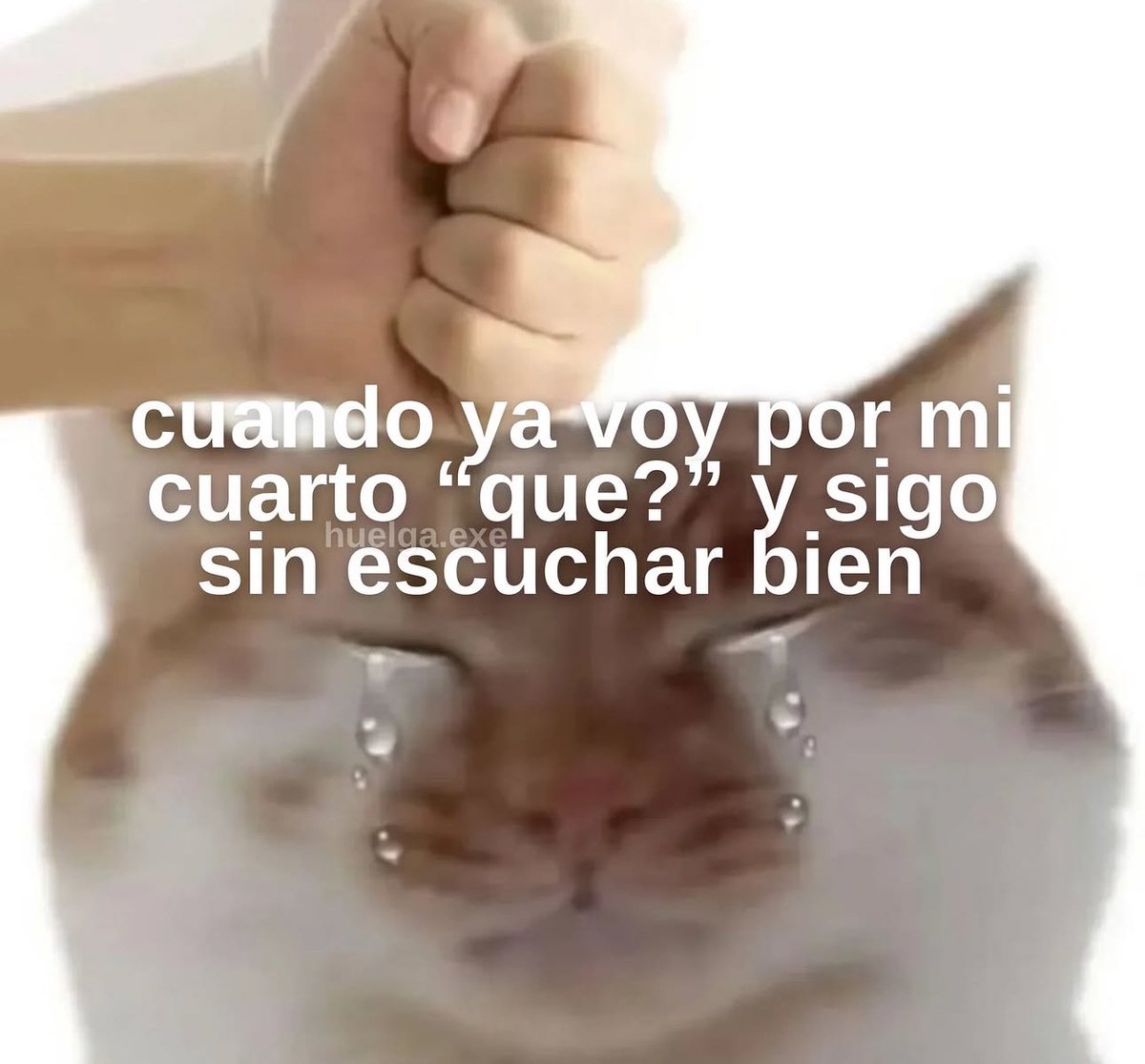 skereunpesado's tweet photo. https://t.co/DW26jK1Szl
