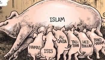 <a href="/KadoKero/">KadoKero 🇫🇷🇵🇸🇳🇨🇱🇧🇨🇩🐺🐢</a> Sans vos "fouteurs de merde" le monde serait en paix. L’islamisme est le nazisme du 21eme siècle. Les juifs se sont fait avoir une fois, ça leur a coûté 6 millions de morts, mais un homme avertit en vaut 2. Les juifs ne referont pas les erreurs du passé. Il n’y aura pas de 2eme