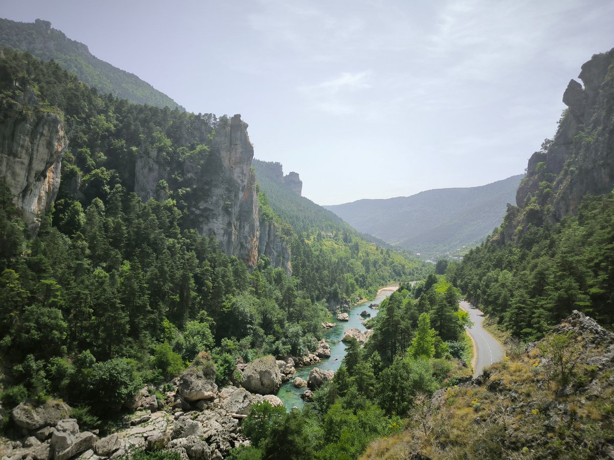 Dr. Paalmipedus 🦆 tweet media