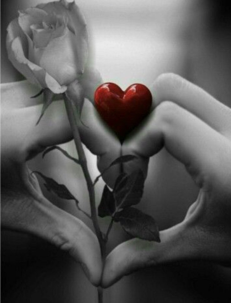 <a href="/mx_kuoro/">❣️Danzart❣️</a> Cierto, el amor no tiene fronteras y tampoco límites...💙😉💙