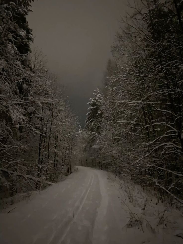 salt (@ancilladominii) on Twitter photo 